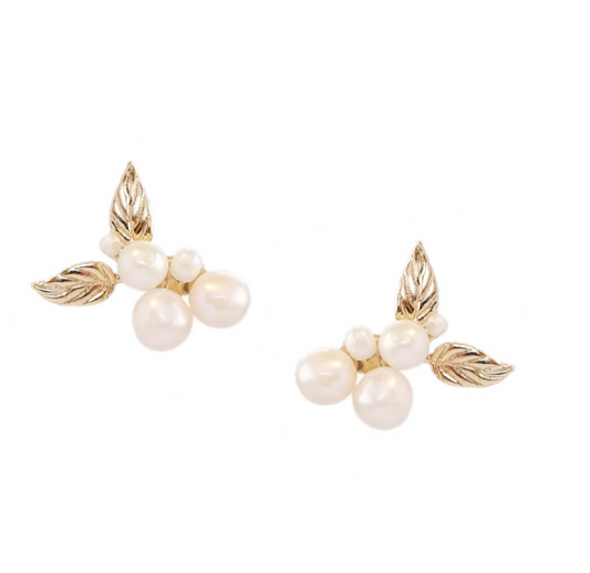 Ara Earrings in Pearl